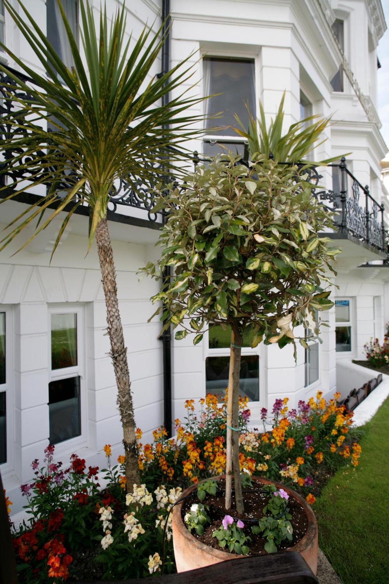 Devonshire Park Hotel Eastbourne Zewnętrze zdjęcie